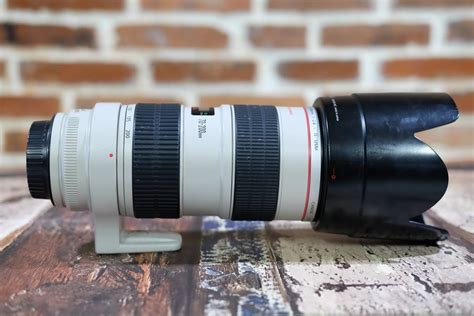 Lensa Terbaik untuk Fotografi: Pilihan Bagus Fotografer